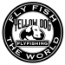 Yellow Dog Flyfishing