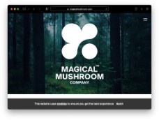 The Magical Mushroom Company