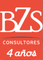 BZS Consultores