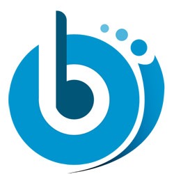 Brisk Developers Logo