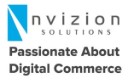 Nvizion Solutions Inc