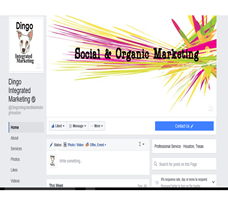 Dingo Integrated Marketing